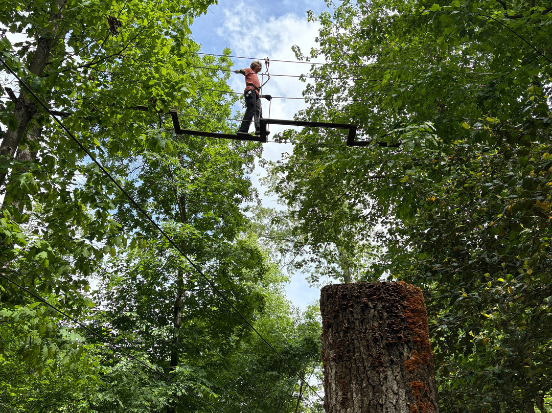 Go Ape Zipline & Adventure Park景点图片