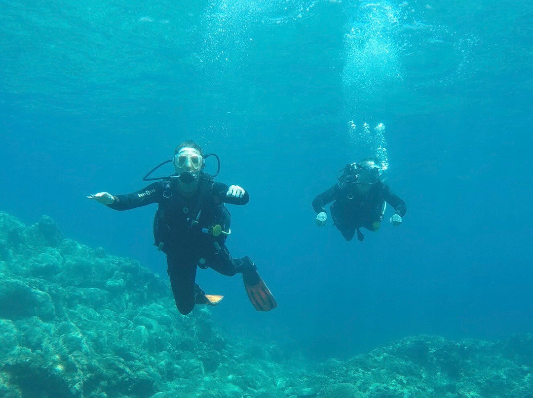 Marine Divers-帕福斯必去景点