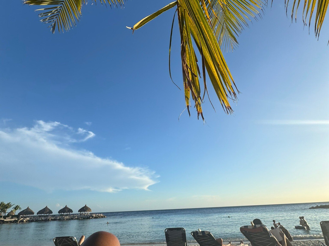 Rumba Tours Curaçao-威廉斯塔德必去景点