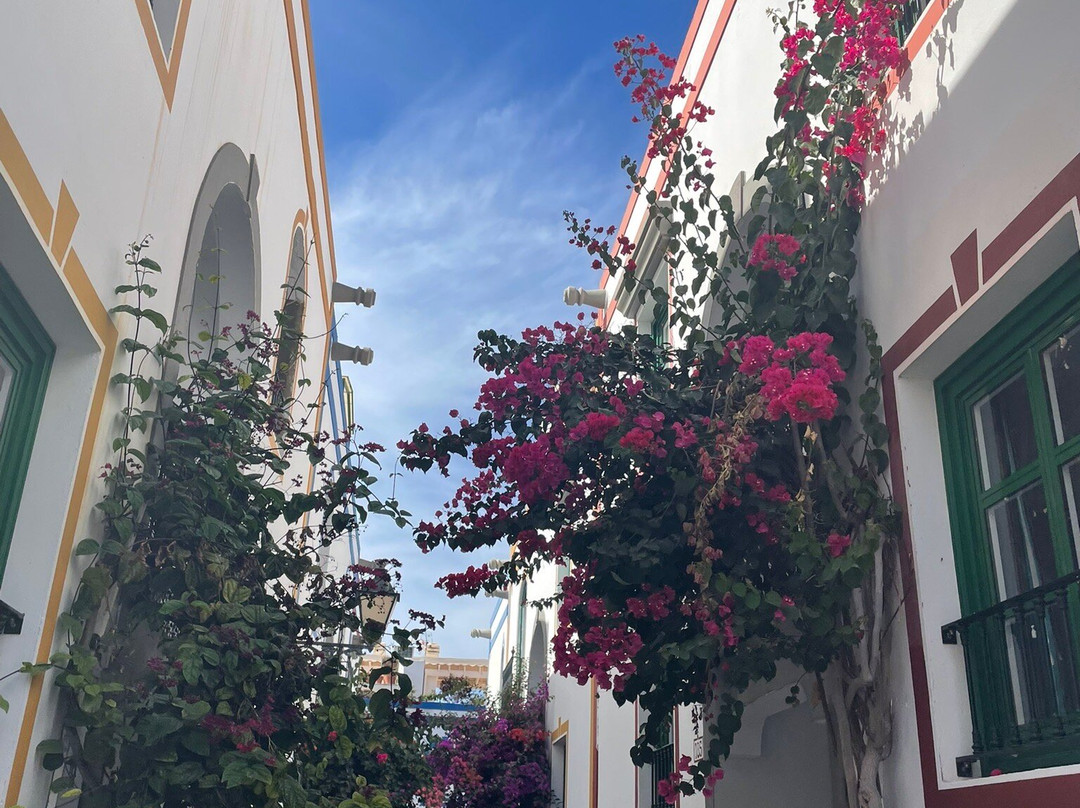 Puerto De Mogán景点图片