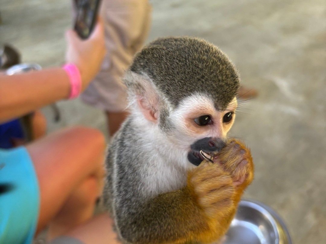 Runners Adventures-普拉塔港必去景点