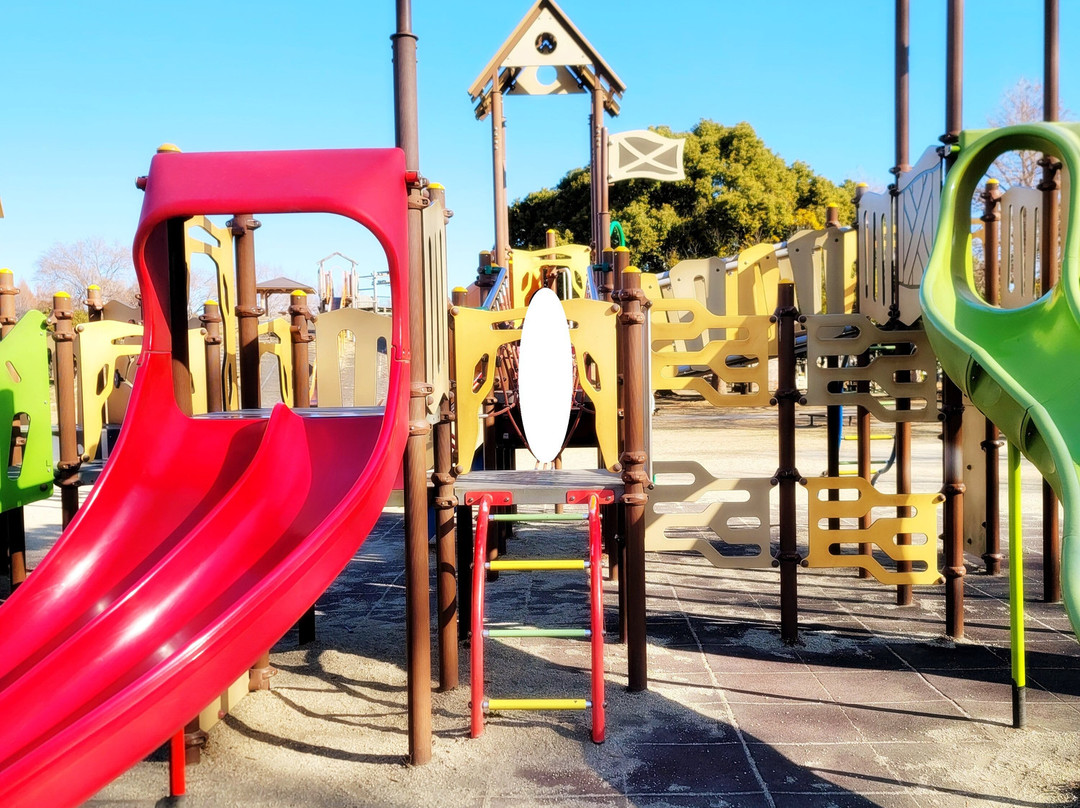 Misato Park-三乡市必去景点