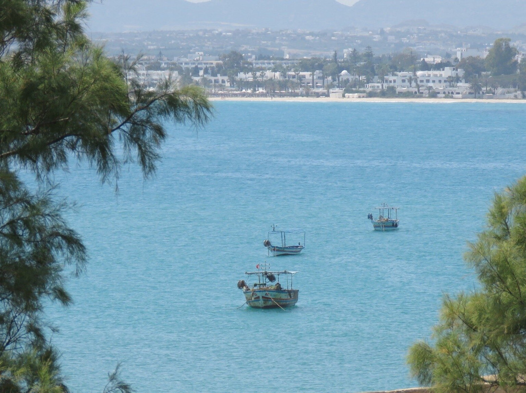Kamel boukari licensed tour guide-突尼斯必去景点