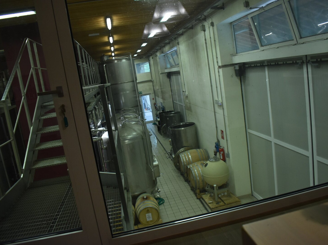 Tenuta Amadio-Monfumo必去景点