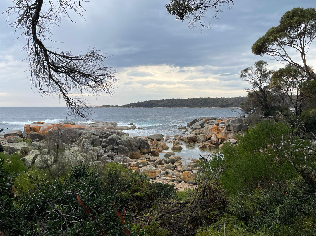 Bilalong Bay Beach景点图片