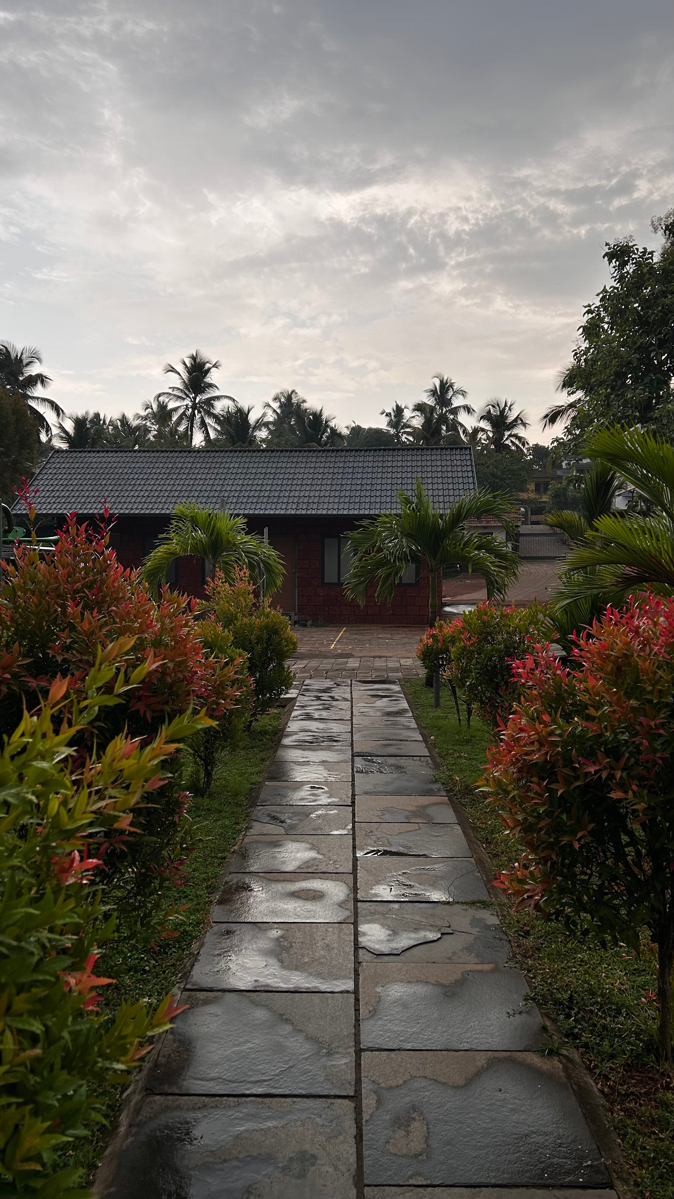 Milife Medicity & Health Resort-官方