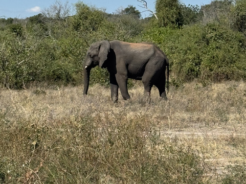 Passionate Tours and Travel-李文斯顿必去景点