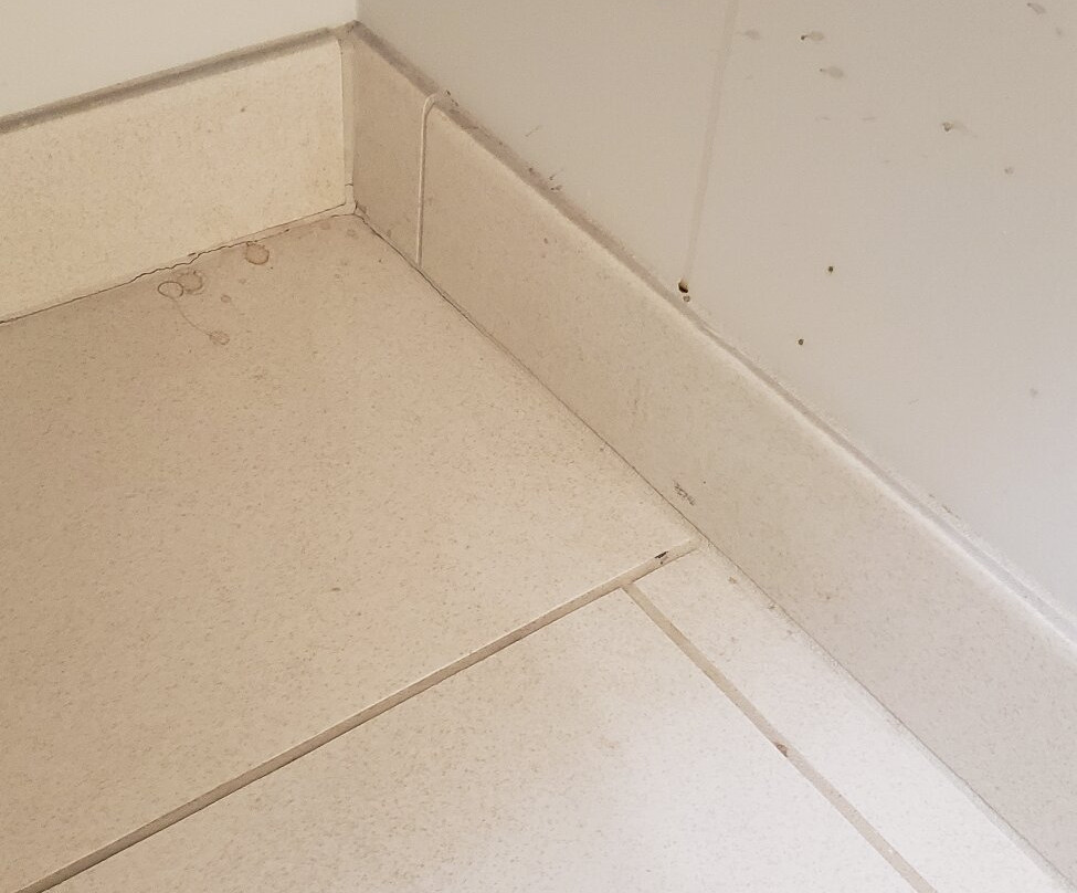 Holiday Inn Express & Suites Oakhurst-yosemite Park Area By IHG主图