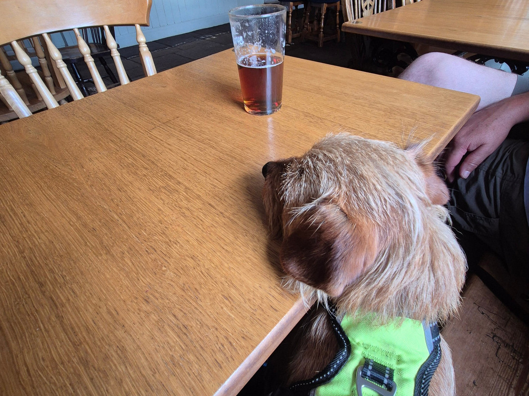 Plume of Feathers主图