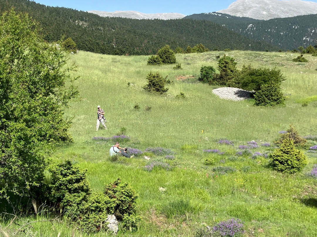 Greece Bird Tours-Marathon必去景点