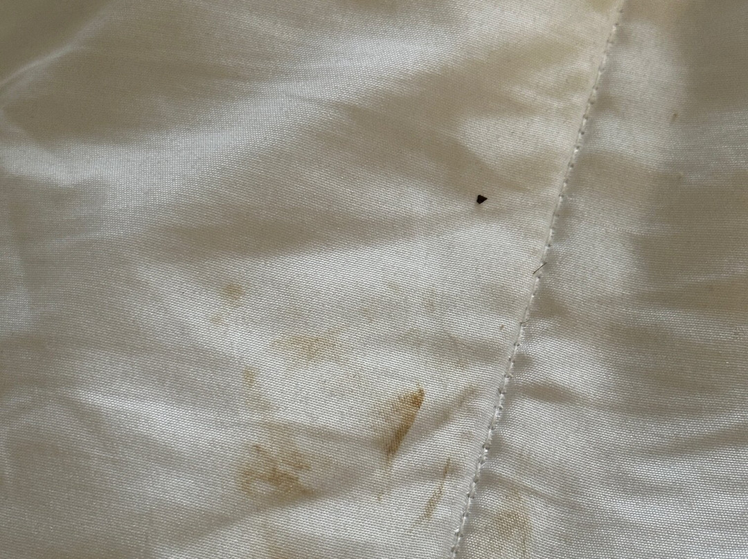 Super 8 by Wyndham Bedford主图