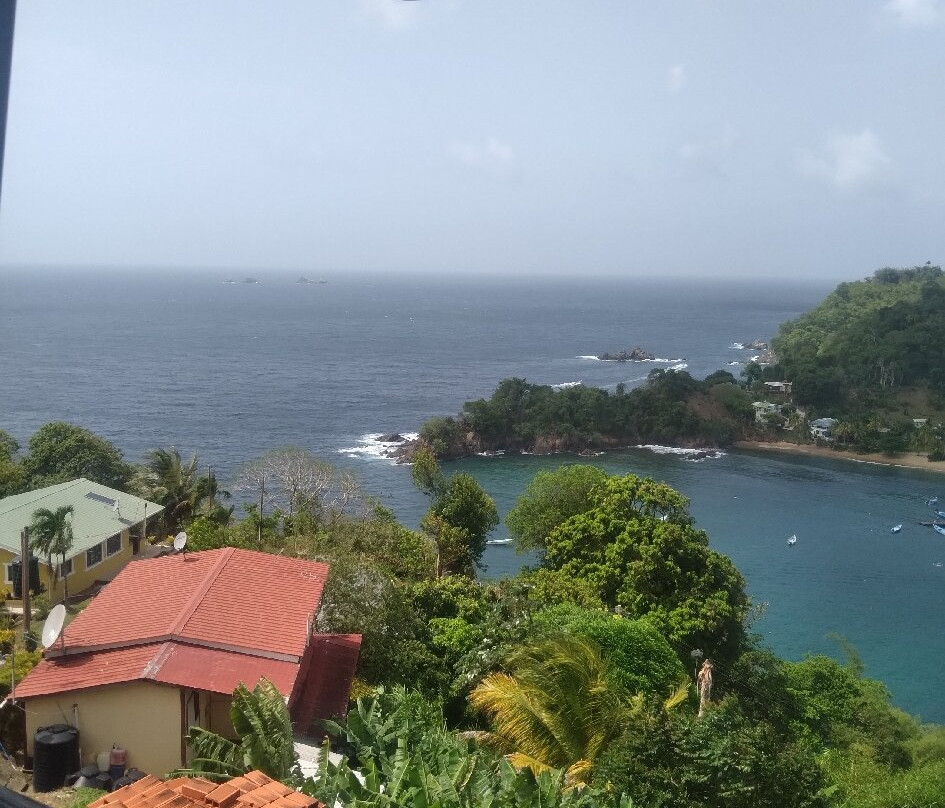 Island Man Tours-克朗波因特必去景点
