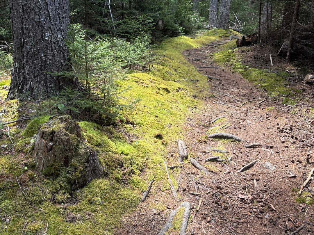 Monhegan Island景点图片