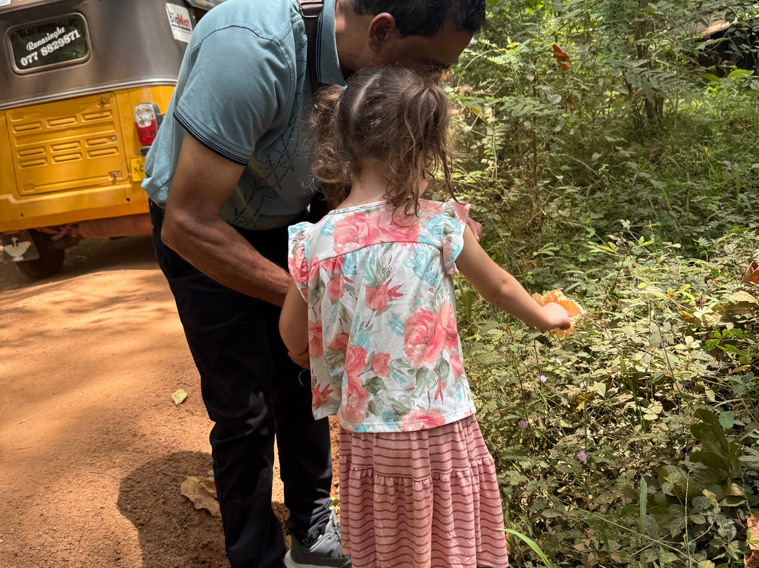 Sandun Village & Jeep Safari in Hiriwadunna-Hiriwadunna必去景点