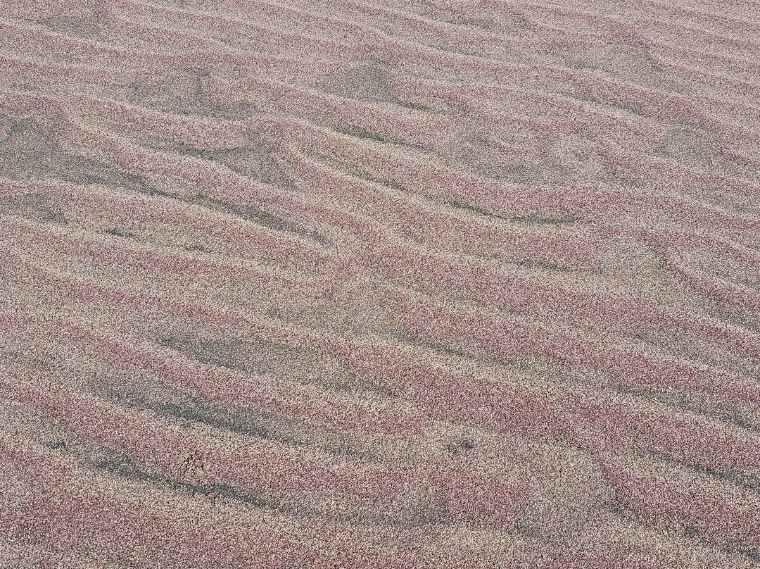 Desert Dunes & Dust Tours-斯瓦科普蒙德必去景点