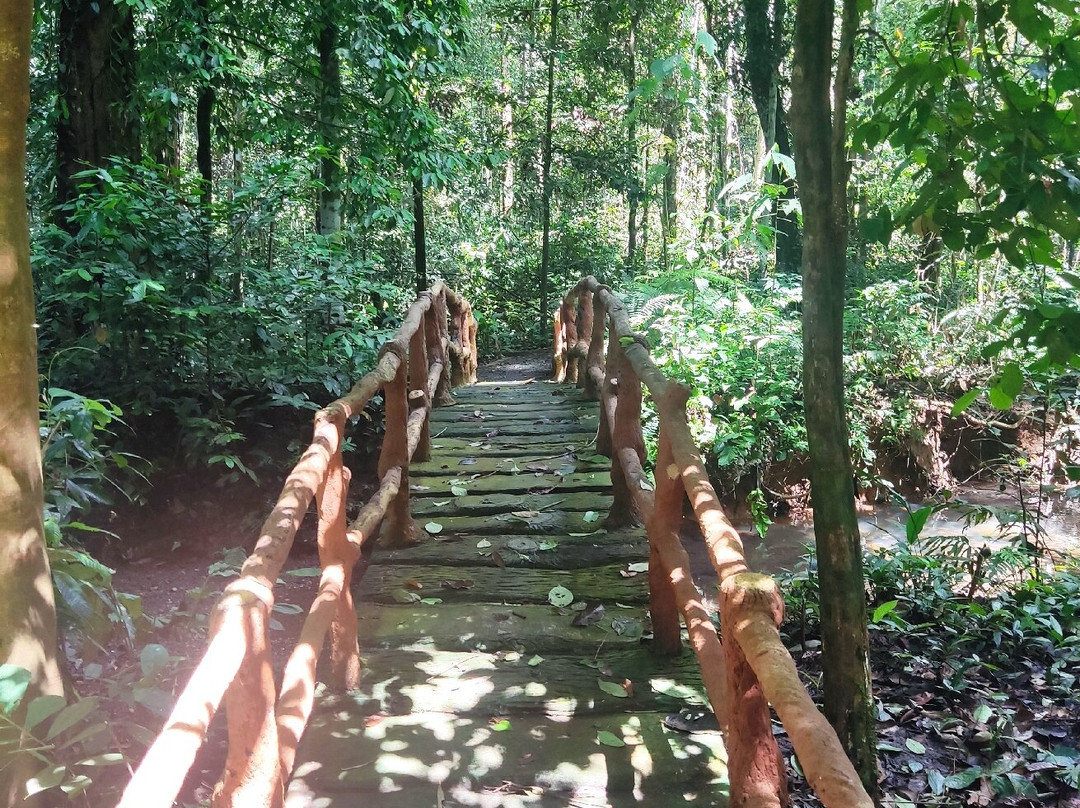 Table Waterfall-斗湖必去景点