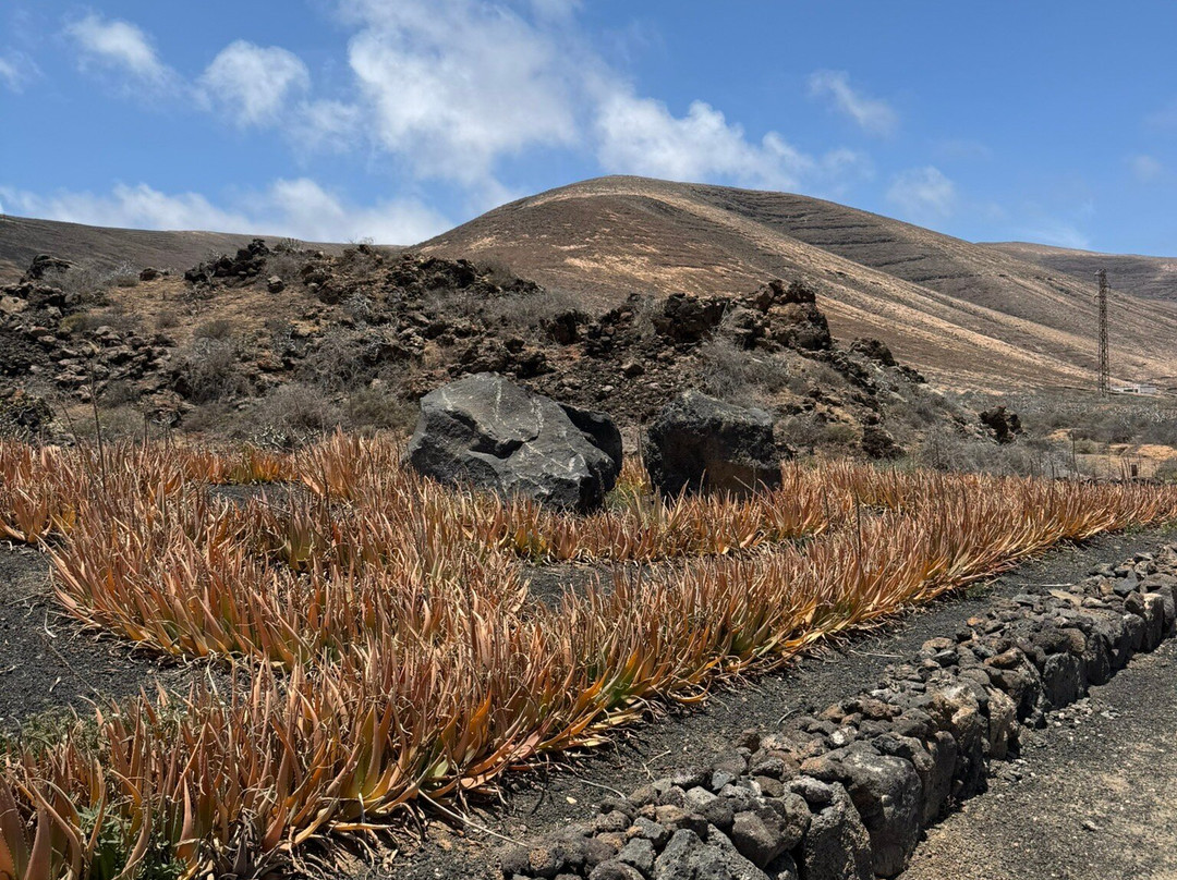 Lanzaloe-兰萨罗特必去景点