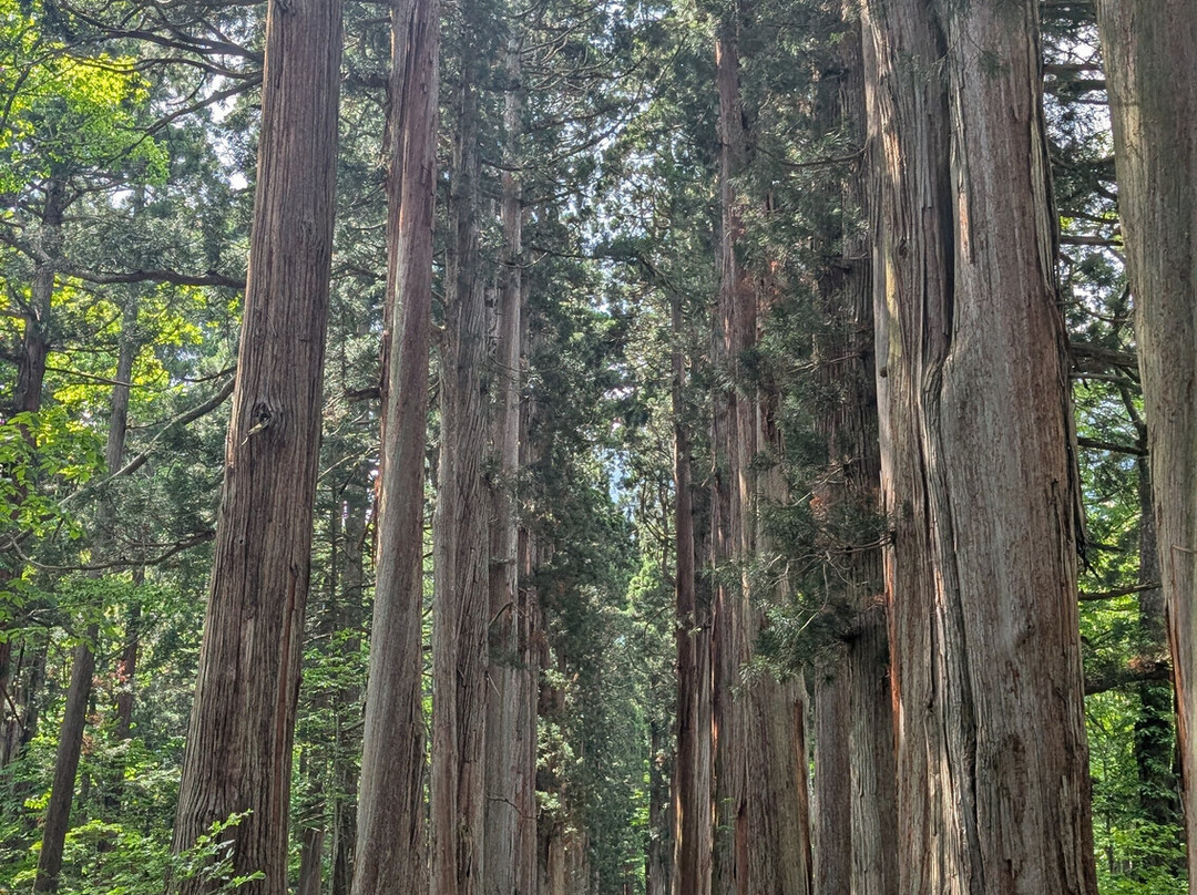 户隐神社-长野县必去景点
