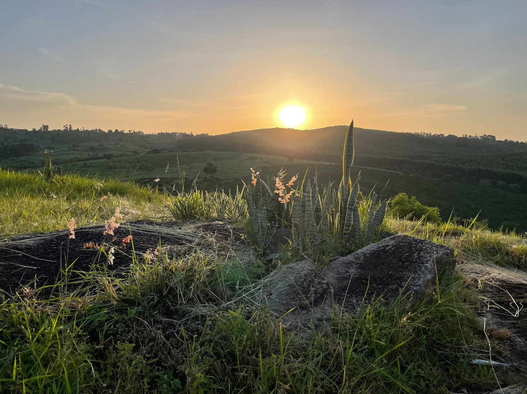 The Coffee Lodge At Clarke Farm主图