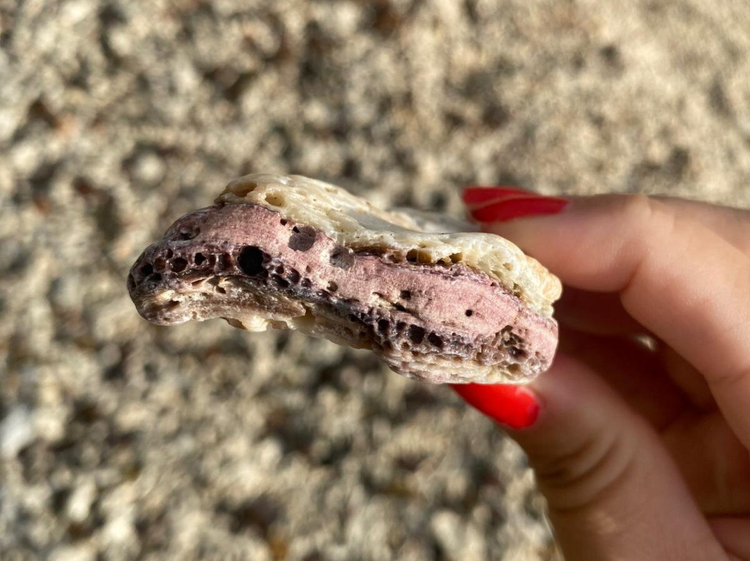Coral Beach and the Beak, Conway National Park-舒特港必去景点