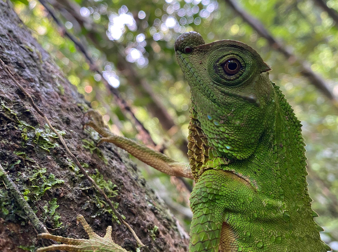 Viaggi Sri Lanka By Kads Tours-Panadura必去景点