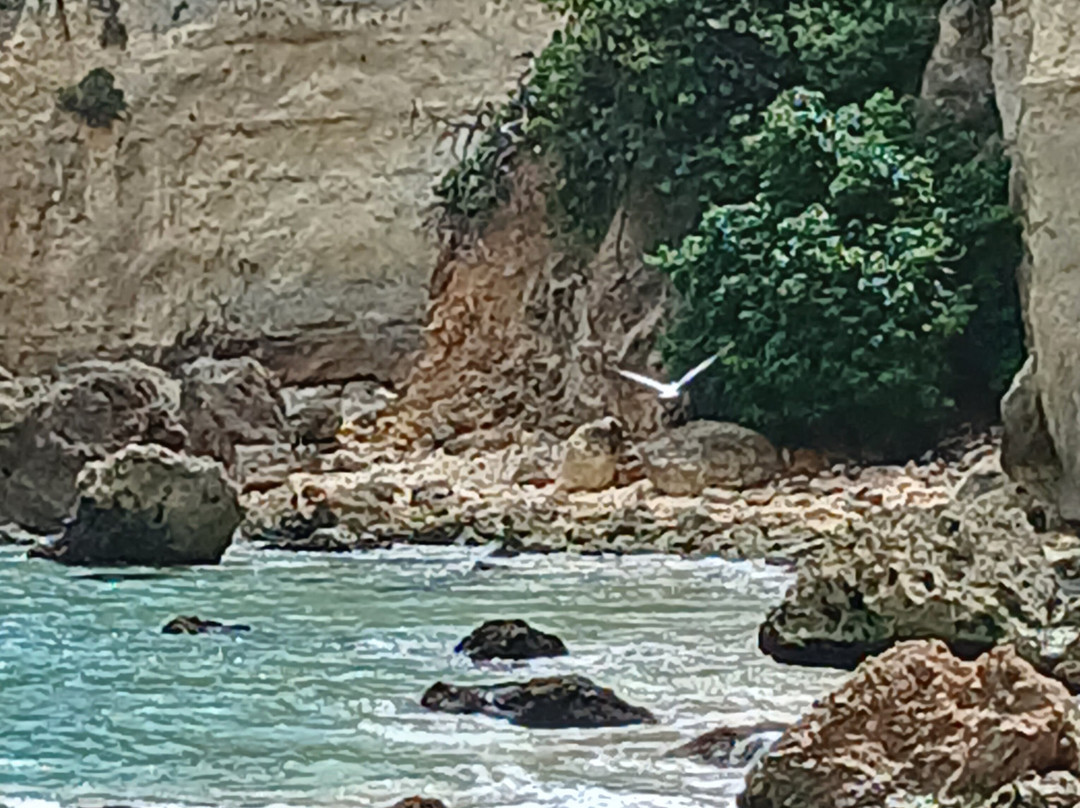 Punta Borinquen Resort主图