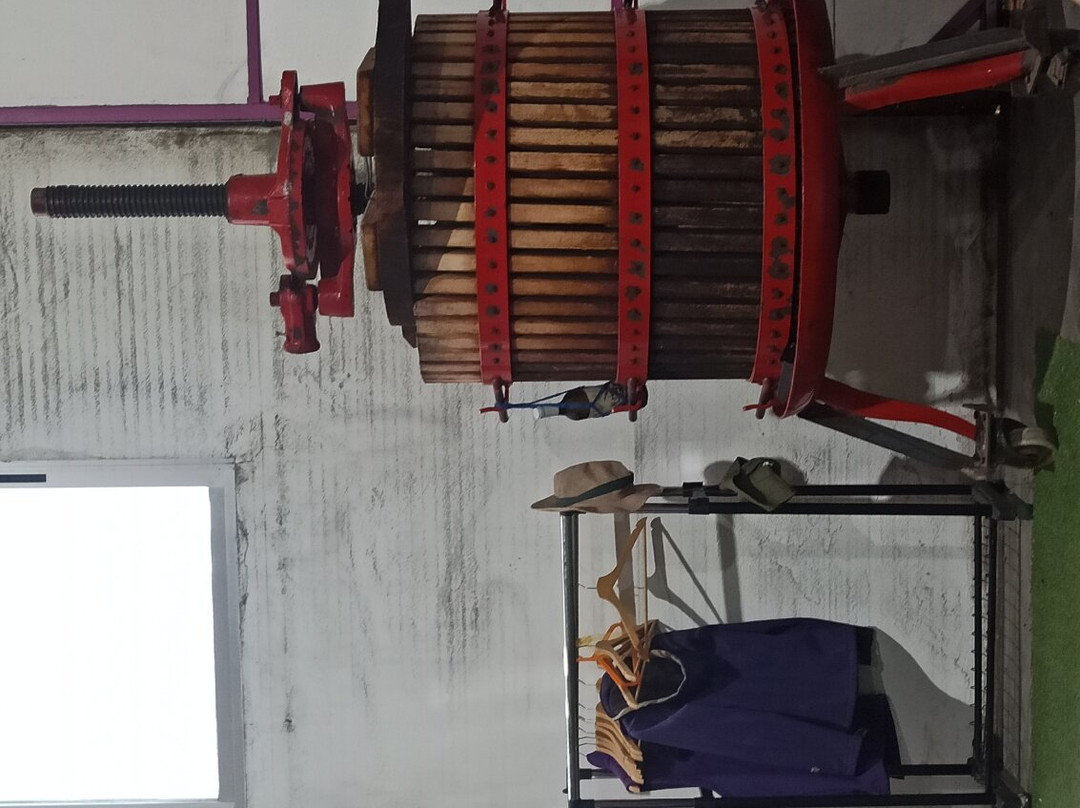 Bodegas Gratias-Casas Ibanez必去景点