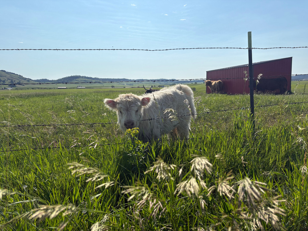 Black Hills Highlands-Spearfish必去景点