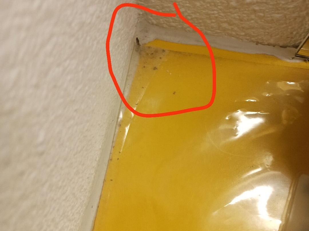 Quick Palace Poitiers Nord主图