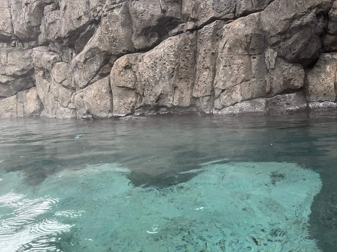 Sky Lagoon-科帕伏古必去景点