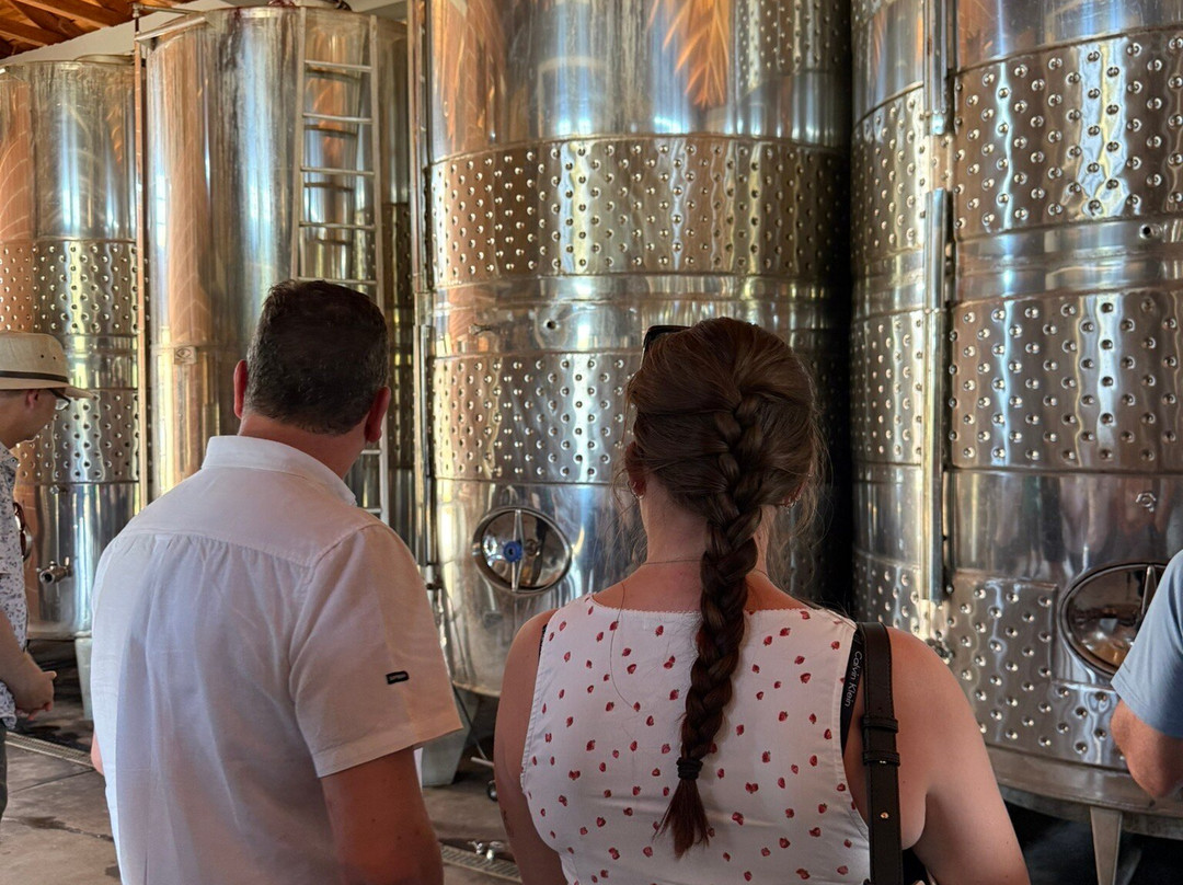 Lefkas Earth Winery-莱夫卡扎必去景点