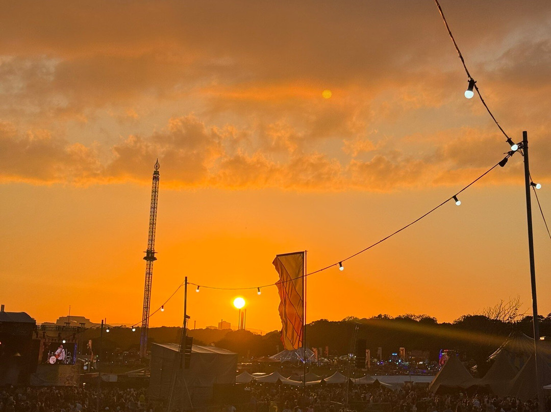 In It Together Festival 25-Margam必去景点