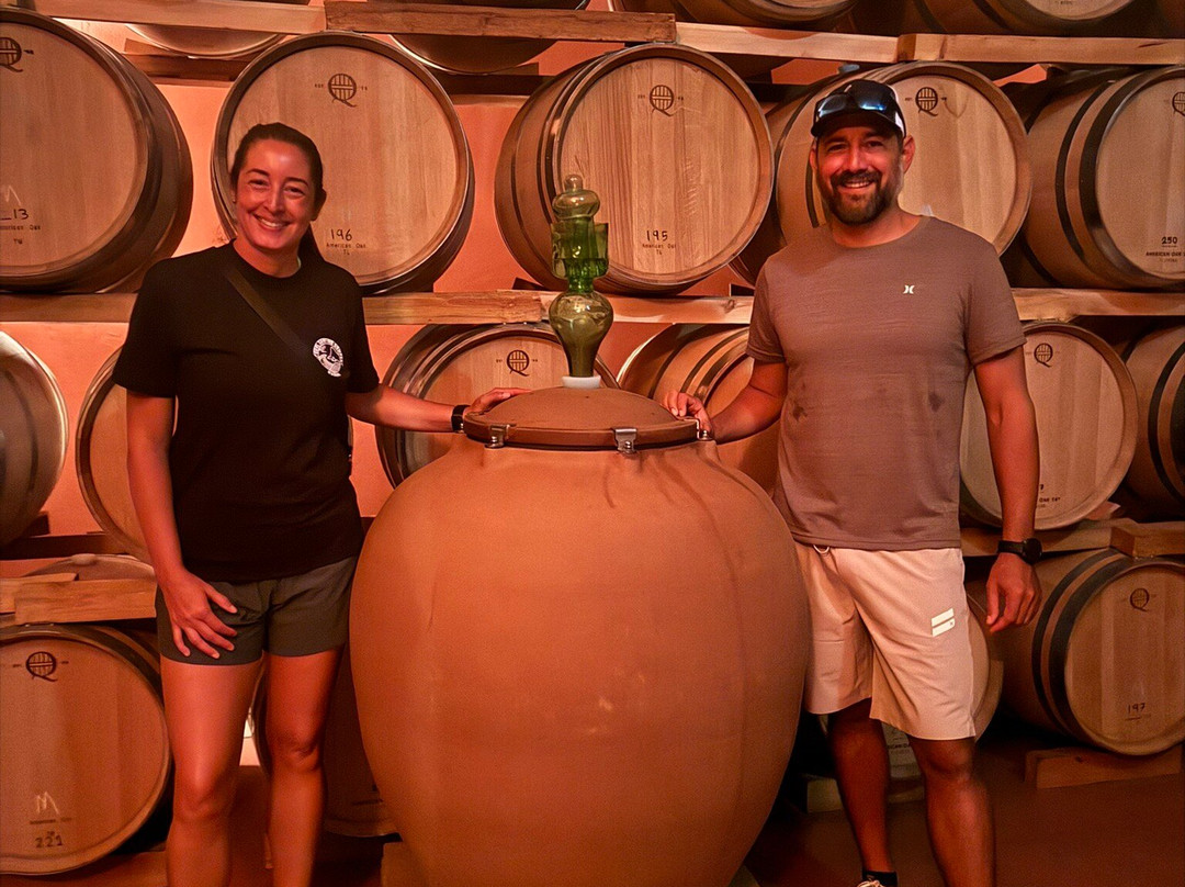 Bodegas Sers-Cofita必去景点