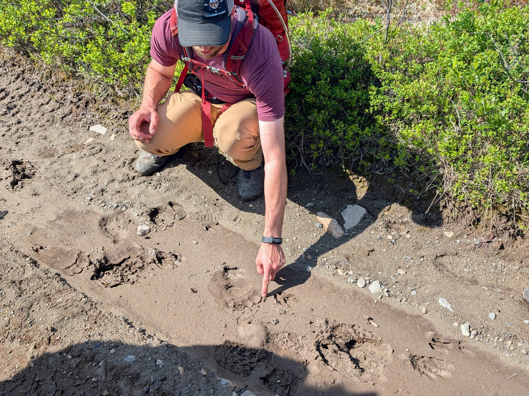 Traverse Alaska-德纳利国家公园和自然保护区必去景点
