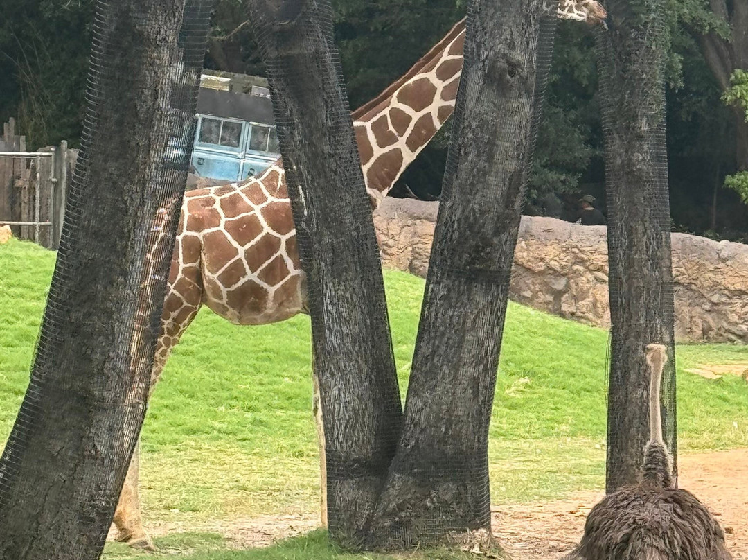 Fort Worth Zoo-沃思堡必去景点