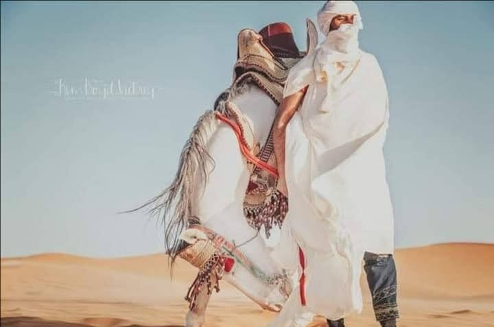 Centre Dar Equestre-阿伊特·本·哈杜筑垒村必去景点