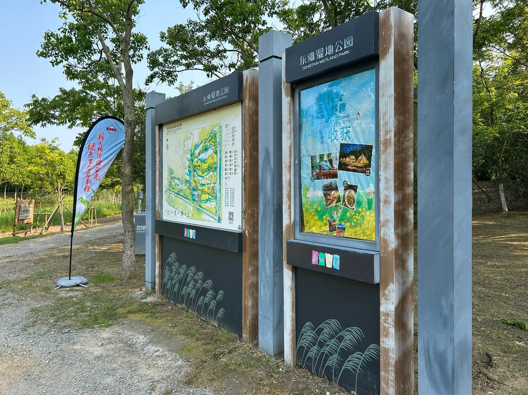 东滩湿地公园-崇明县必去景点