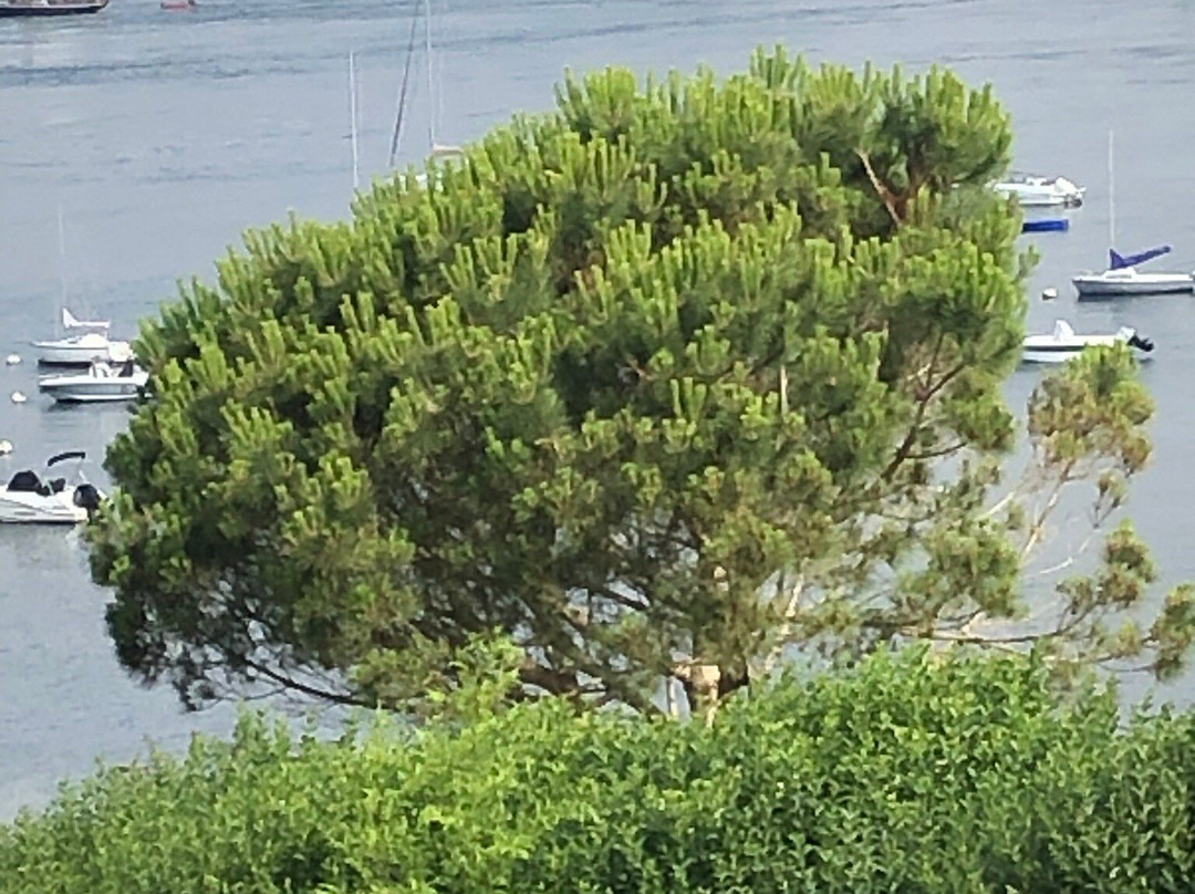 La Corniche de Port-Navaloo-Arzon必去景点
