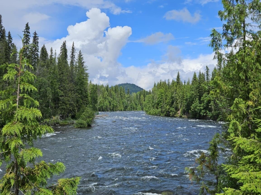 Wells Gray Provincial Park-克利尔沃特必去景点