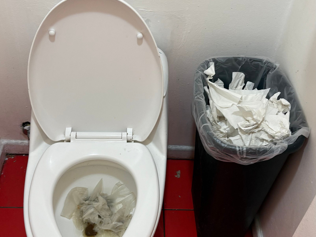 Taringuita Farellones