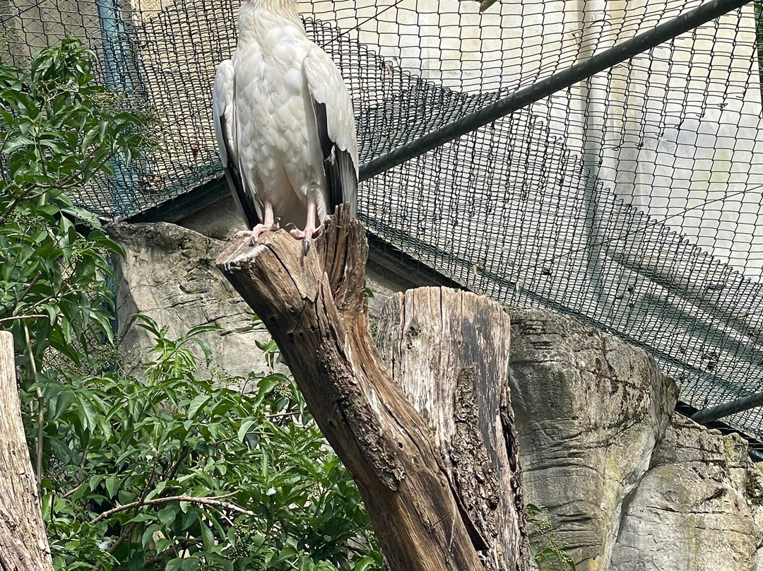 Zoo Frankfurt-法兰克福必去景点