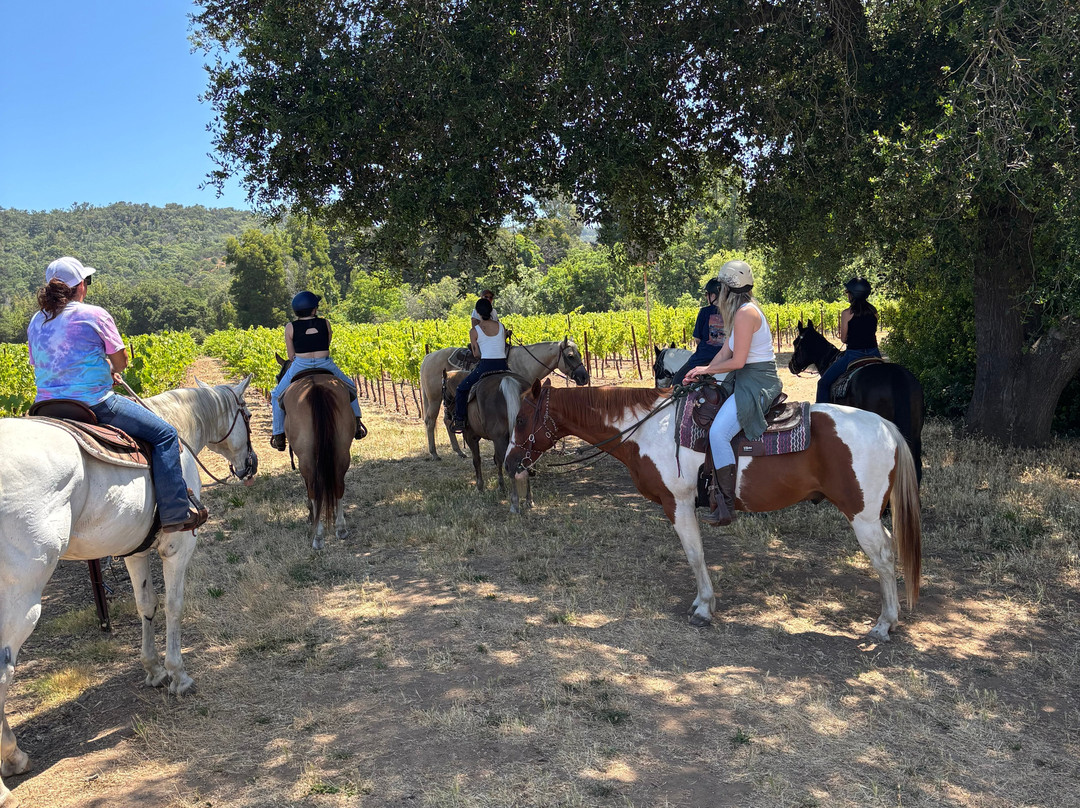 Sonoma Valley Trail Rides-索诺玛必去景点
