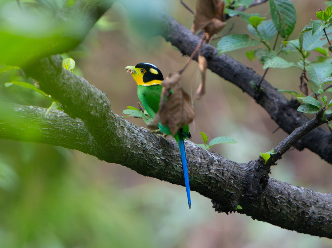 Asian Adventures-诺伊达必去景点