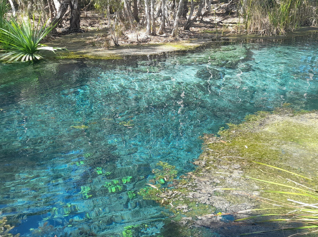 Bitter Springs-Mataranka必去景点