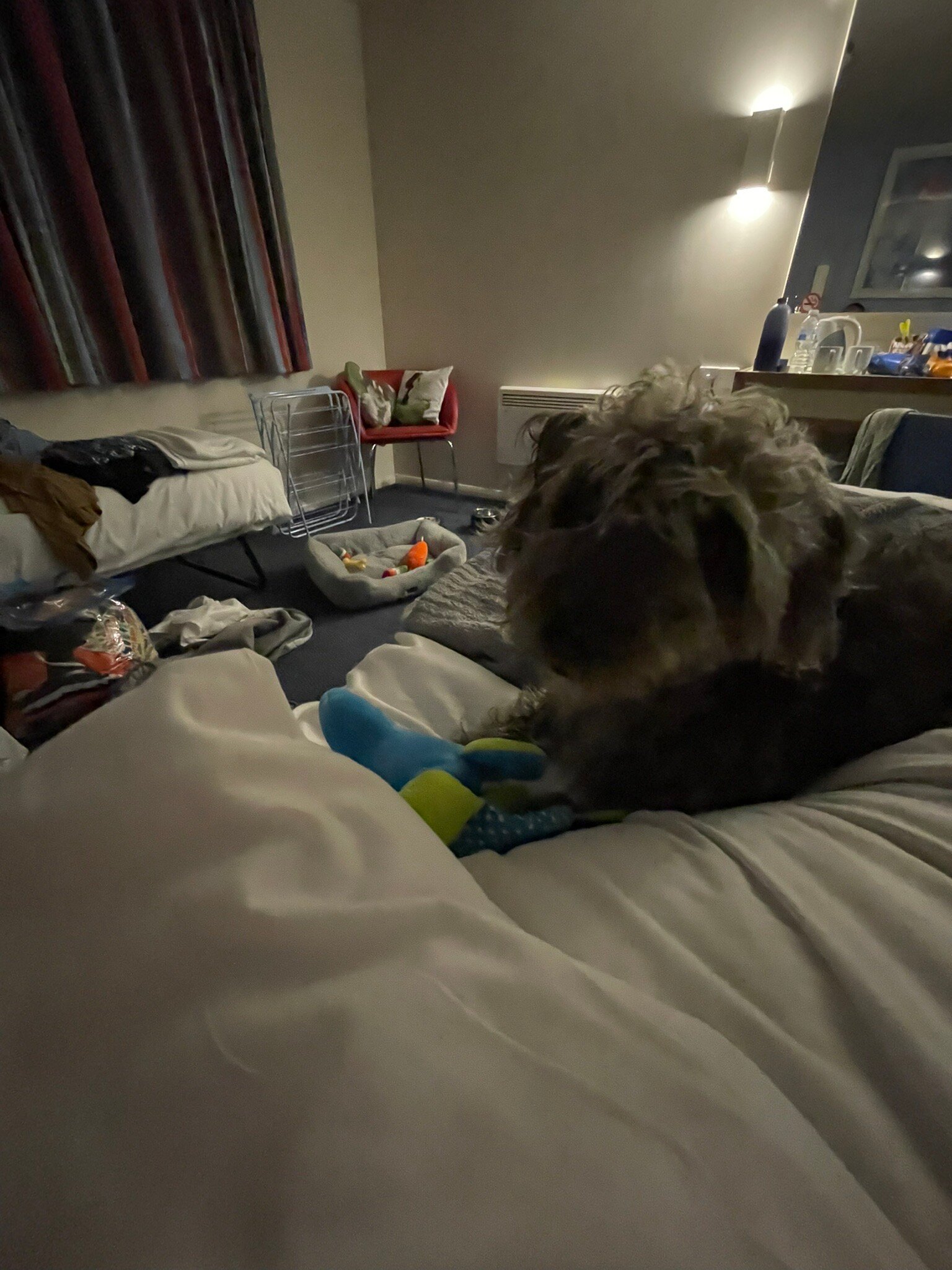 Travelodge Billinghurst Five Oaks-官方