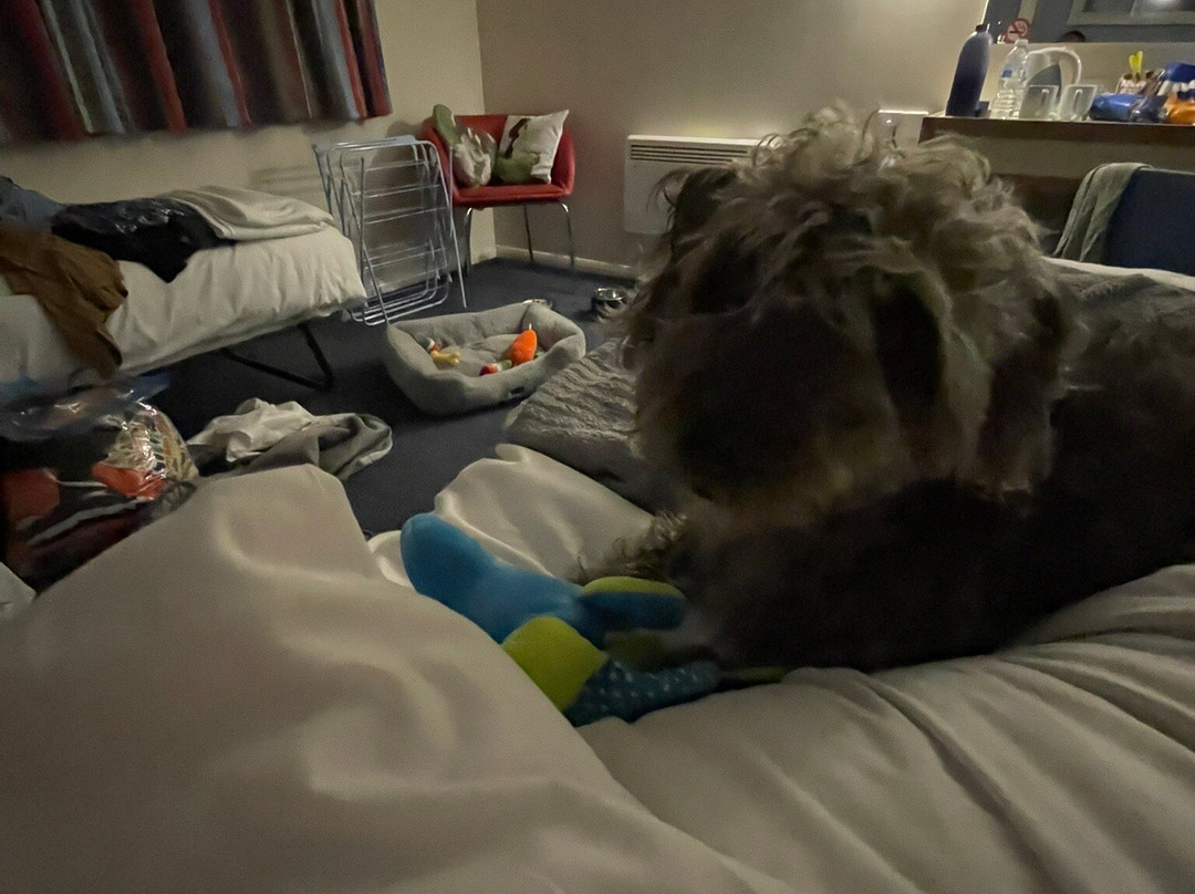 Travelodge Billinghurst Five Oaks主图