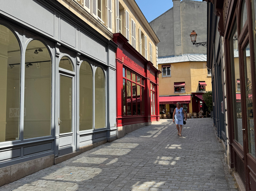 Quartier des Antiquaires-凡尔赛必去景点