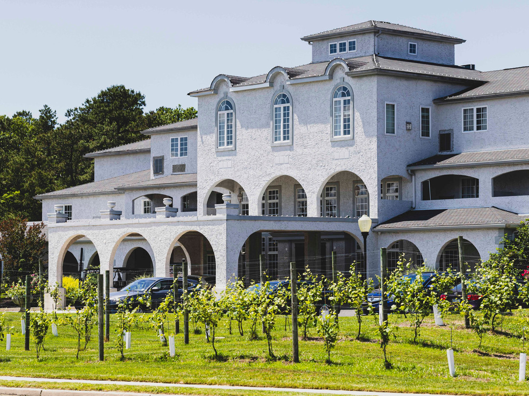 Renault Winery Resort主图