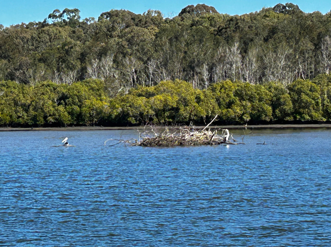 Caloundra Cruises-卡伦德拉必去景点