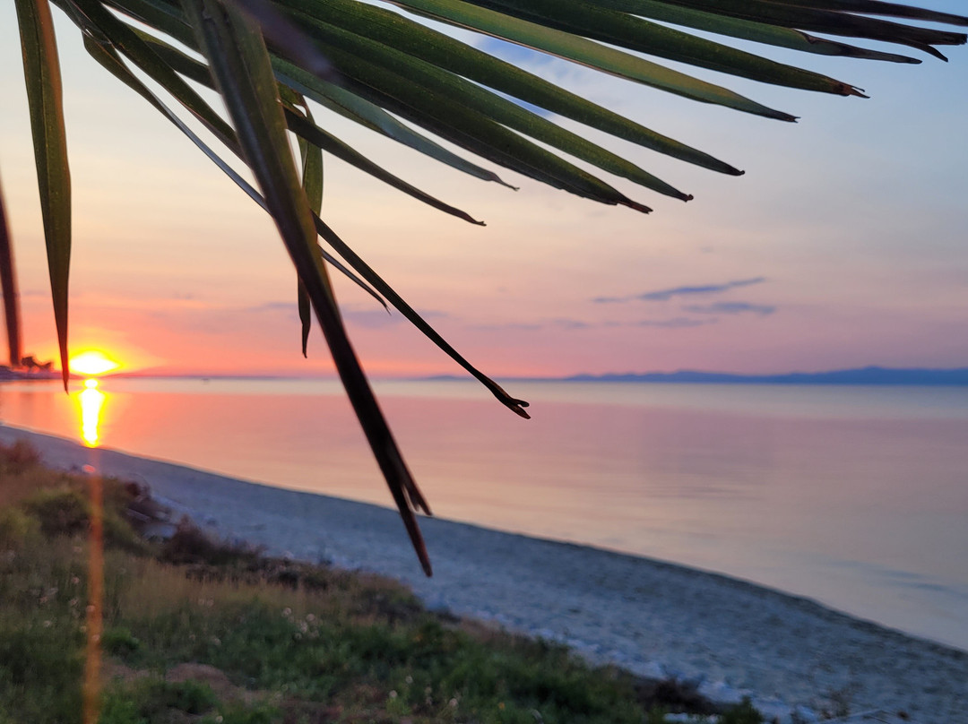 MAKO Sea & Suites主图